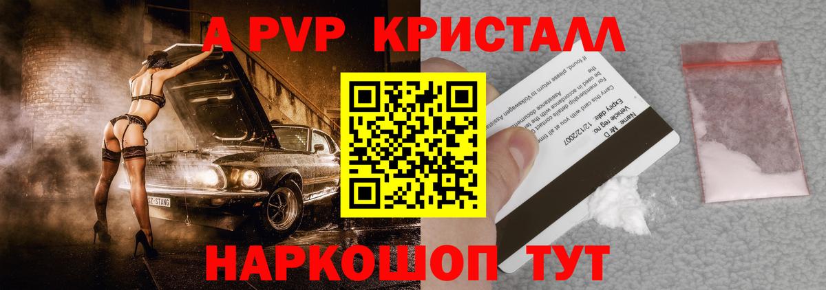 A PVP СК Тамбов